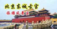 黑大粗带出白沫中国北京-东城古宫旅游风景区
